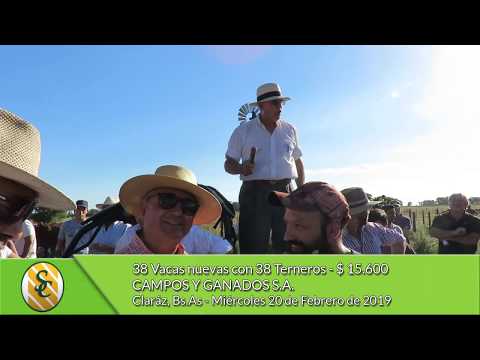 20-02-19 - Venta de Vientres - Campos y Ganados S.A. - Claraz