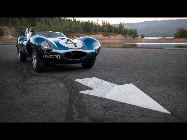 Jaguar D-Type: 24 Hours Of Le Mans Champion