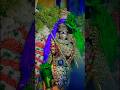 Madurai Meenakshi Amman Pattabhishekam WhatsApp Status Madurai Meenakshi Ytshorts