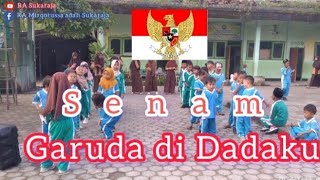 Download lagu Senam GARUDA DI DADAKU 🇮🇩 mp3