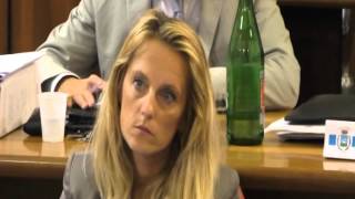 bandi-per-le-strutture-pubbliche-l-annuncio-in-consiglio