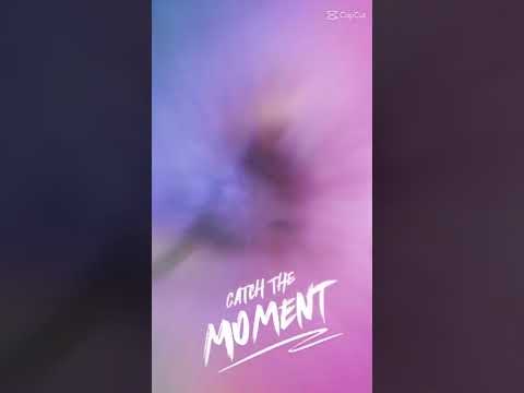 funny trendy dancing dog#funny#dance#dog#trendy