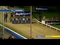 Irish Greyhound Derby Final 2022