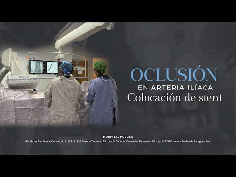 Rogelio Herrera Lima-6