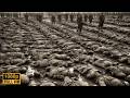 The Forgotten Battle Film Penuh Penuh Aksi Dengan Subtitle Indonesia