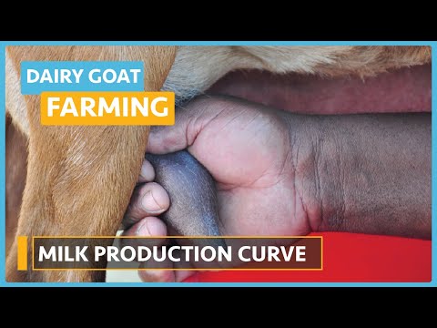 Dairy Goat Farming Lesson 1 Course Outline
