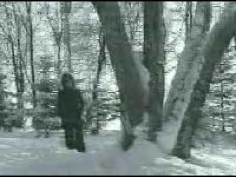 ESC 1975 Norway preview