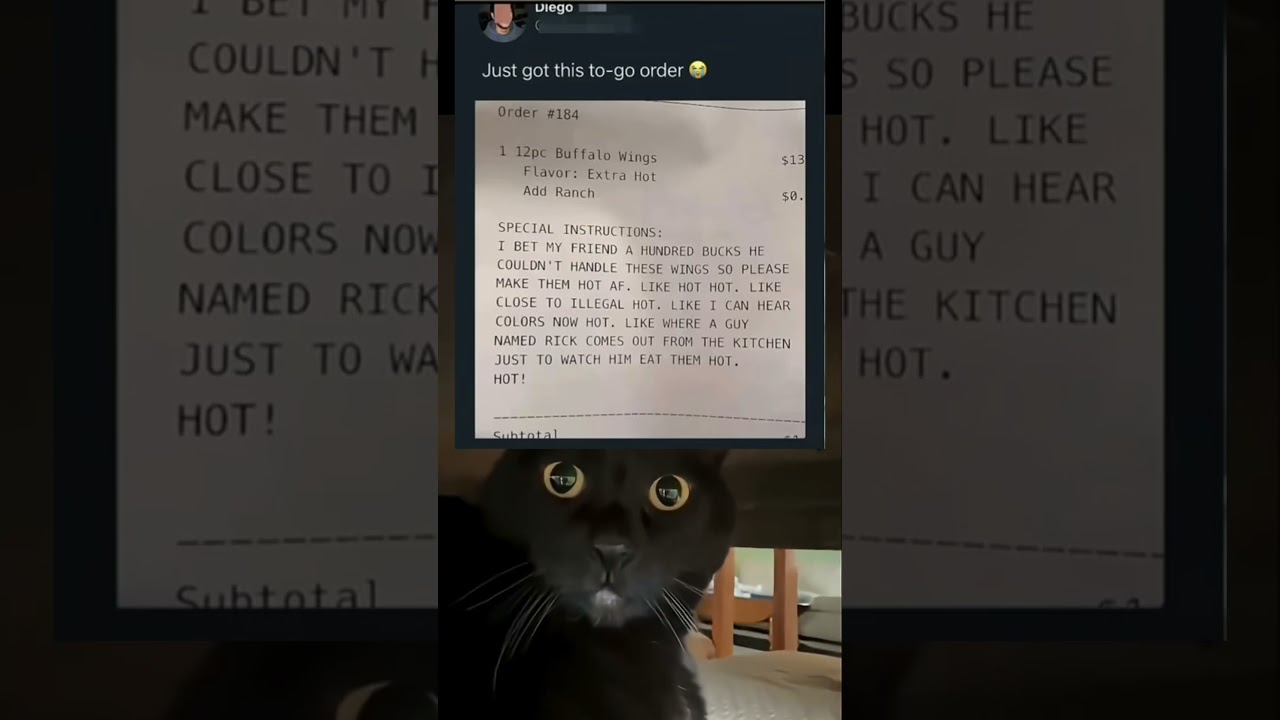 WTH IS WRITTEN IN THE BILL🤯💀👄 #auracat #cat