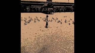 Bird Charmer Sri Nithya