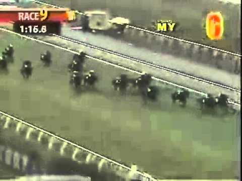 20101023 KL CLASS 4 1400M (LC) - NORTH TO ALASKA (R Woodworth)