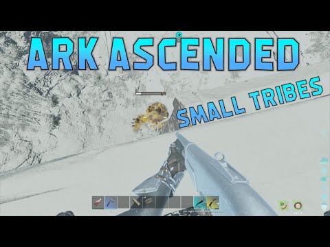 First tribe to complete a boss fight on small tribes Ark Survival Ascended