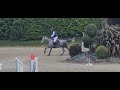 Merrie Franse rijpony PFS Te koop 2022 Schimmel