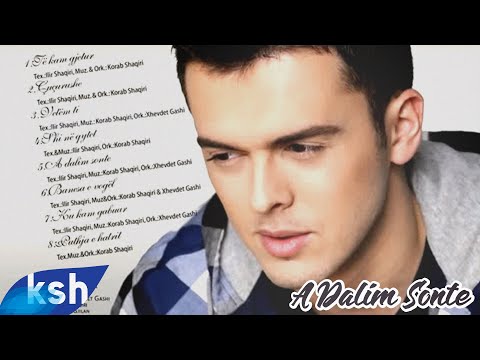 Korab Shaqiri - A dalim sonte (Official Audio)
