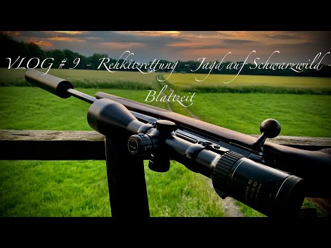 VLOG #9 - Fallenjagd - Jagd auf Schwarzwild - Blattjagd -Rehkitzrettung #jagen #waidmannsheil
