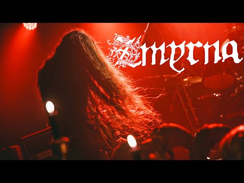 GRONNENHELL and Signal Rex