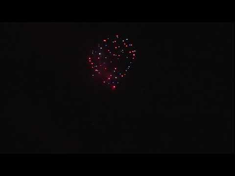 FF10004  50mm - Shell - 19s - LD - Red, White, Blue Peony