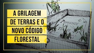 Miniatura do vídeo