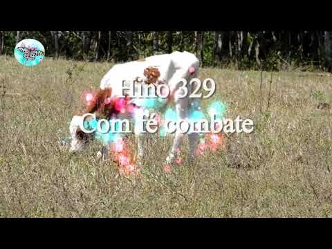Hino 329 Com Fé combate
