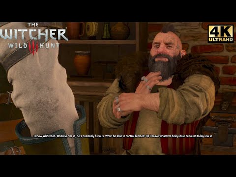 【4K】The Witcher 3 Wild Hunt : No Damage Walkthrough - Part 48 The Gangs Of Novigrad