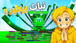 طورت اغلى واقوى نبات رينمبو بيطير حرفيآ ????????صرفت $9,482,586 ..! تفتكروا هيوصل ثمنها كام OP ????