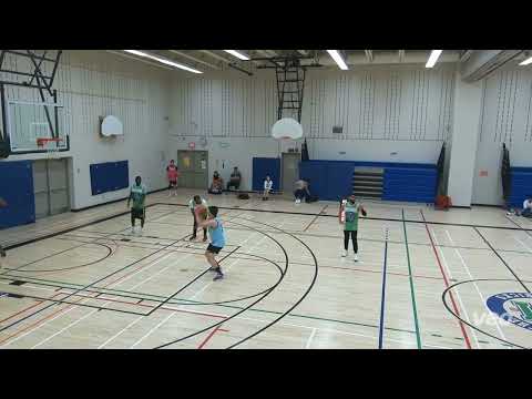 Tiger Hoodz(45) Tier 11 - 2023 SPRING Raccoons(41) - tcbl sunday