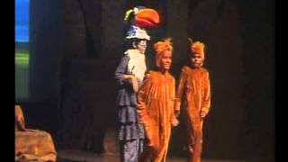 Arish Bhiwandiwala video