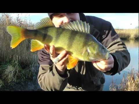 Fk Lubbe "A-borrar" Teaser