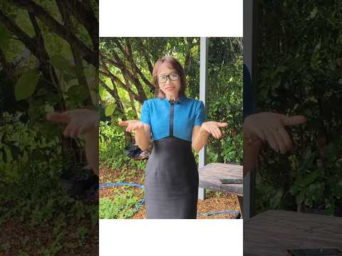 ฟาร์มเกษตร video thumbnail