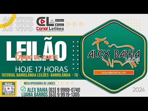 WWW.CANALLEILOES.COM | LEILÃO GADO DE CORTE ALEX BAHIA LEILÕES BARROLÂNDIA TO 06/03/2024.