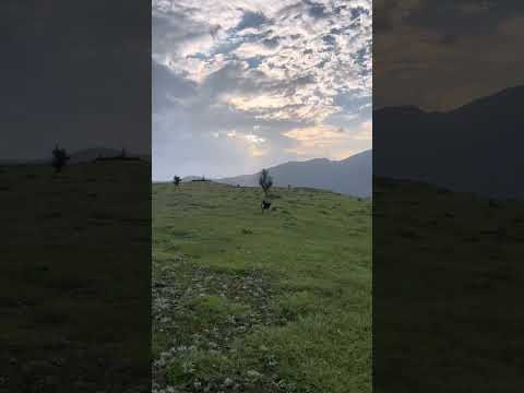 Evening walk on Ajin top