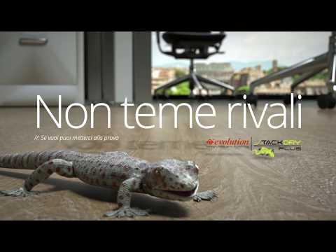 Видеообзор