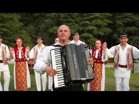 Soava Ionel - Brauri banatene