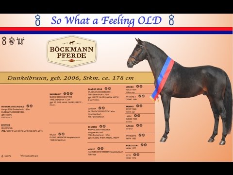 So What a Feeling OLD - Sandro Hit X Ex Libris