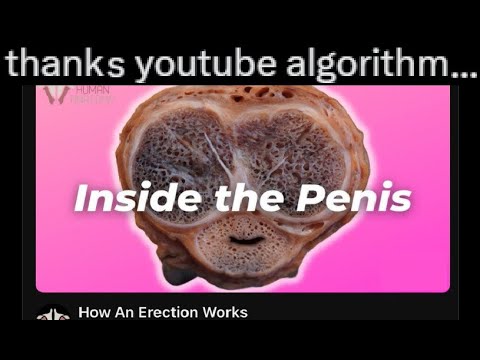 "I read this post in Matt Rose's voice" posts