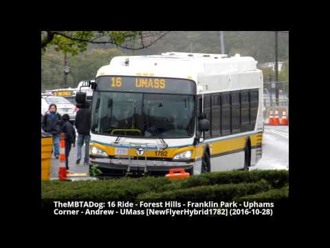 TheMBTADog: MBTA Bus 16 Ride - FOREST HILLS to UMASS via UPHAMS CORNER [New Flyer Hybrid 1782]