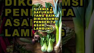 Download lagu 5 Jenis Sayuran Yang Baik Dikonsumsi Penderita Asam Lambung #ekoazis mp3