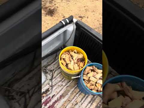 Real time cold start v-10