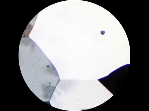 Kemback - For You Today (Omena 2016)