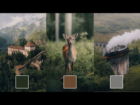 Maarten Schrader and Lightroom - Color & Editing Mastery 