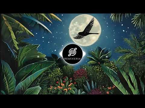 In Gradina Lui Ion - Remixeria Reggae Cover