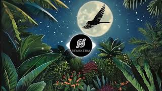 Download lagu In Gradina Lui Ion - Remixeria Reggae Cover mp3