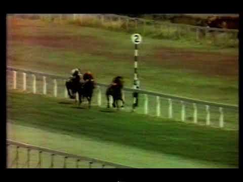 1971 William Hill Gold Trophy