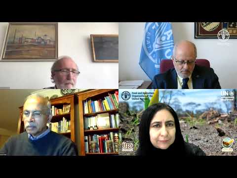 Towards Zero pollution: Launch of the Global Assessment of Soil Pollution report