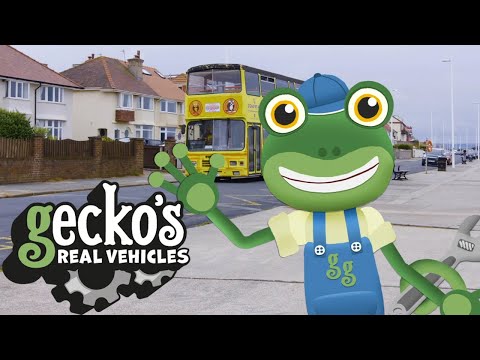 Gecko And The Party Bus - Educational Videos for Kids