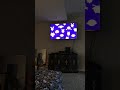 Opening To Arthur Parents Are From Pluto 2004 VHS