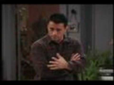 f.r.i.e.n.d.s Love this vid or Hate it