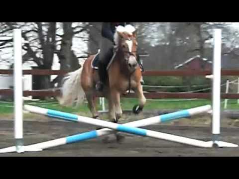 Ole trening 27 april