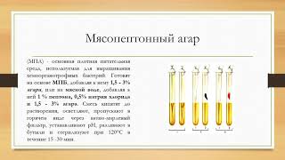 Среда Кесслера грм 0. 25 кг