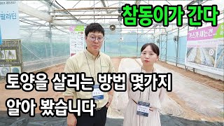 농사의 기본!! 좋은 땅을 만드는 방법 (처음 듣는 토양훈증제)