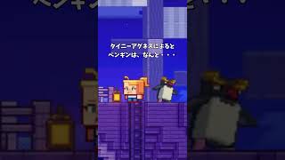 mob投票候補にペンギンが来ます! マイクラライブ2023 #shorts